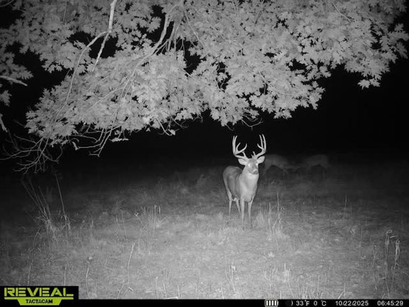 Trail Cam 1(1)