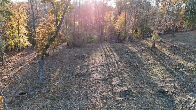 DJI_20251111154244_0029_D