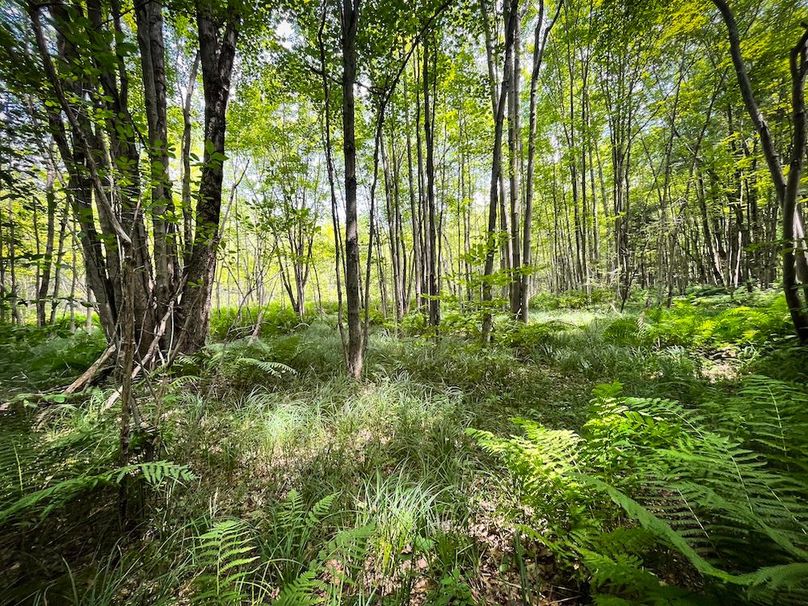 Oswego_21.25-Paro_Photos_40