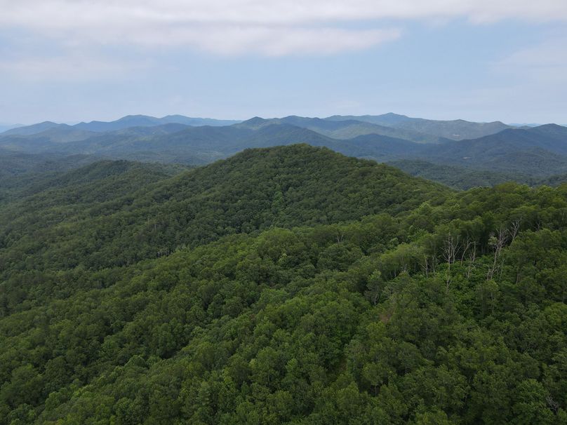 Swain 39 Tysinger-16