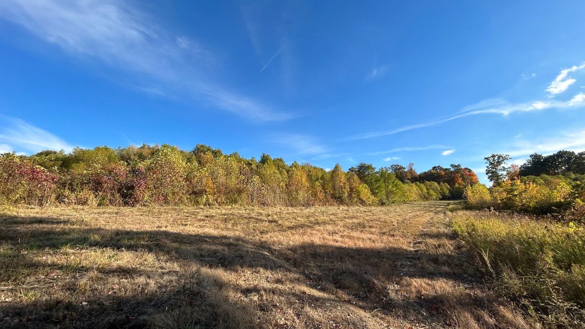 Unique Property With Amazing Views Whitetail Properties