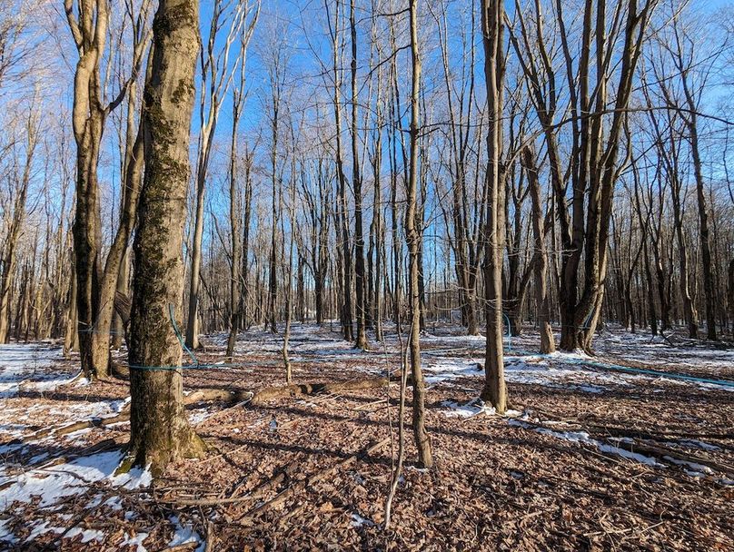 PXL_20240229_211124992