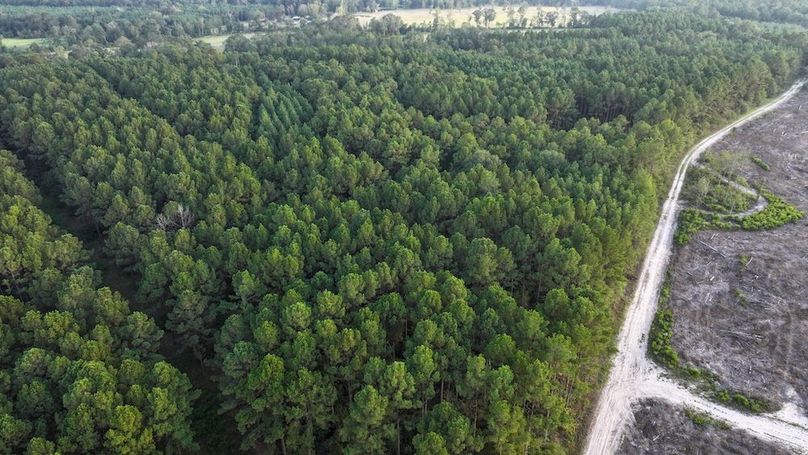 DJI_20250918180142_0187_D