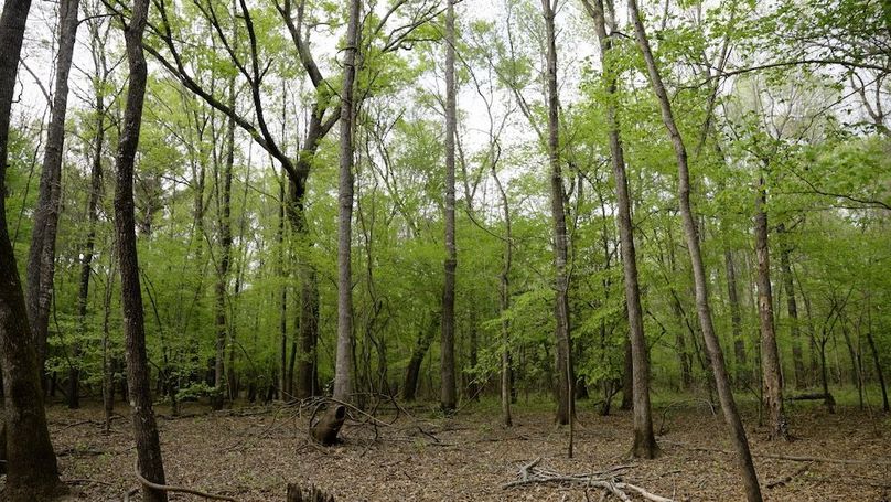 Marion TX 143 and 117 Featured_WEB.00_05_41_21.Still015