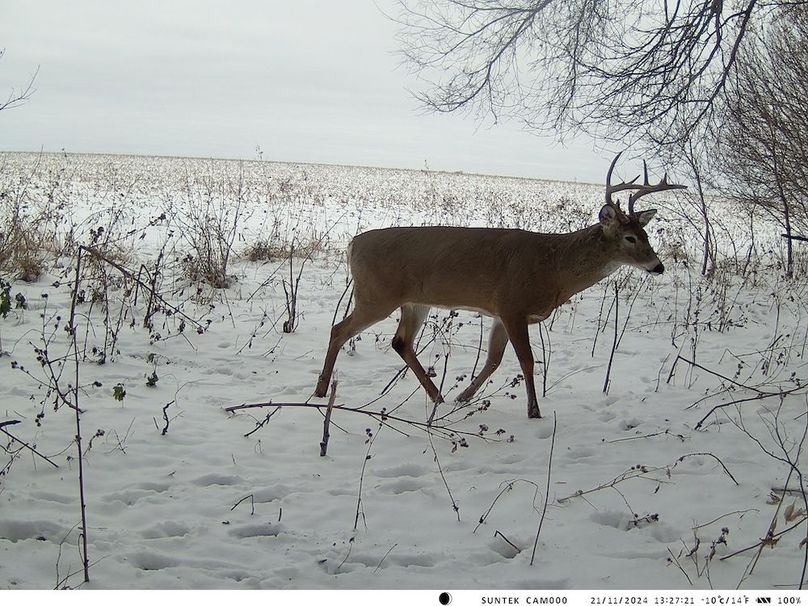 2024-1121-132721_000133