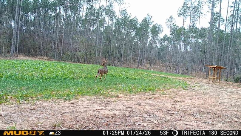 2026012413250901000772_3_ColorizationType.none