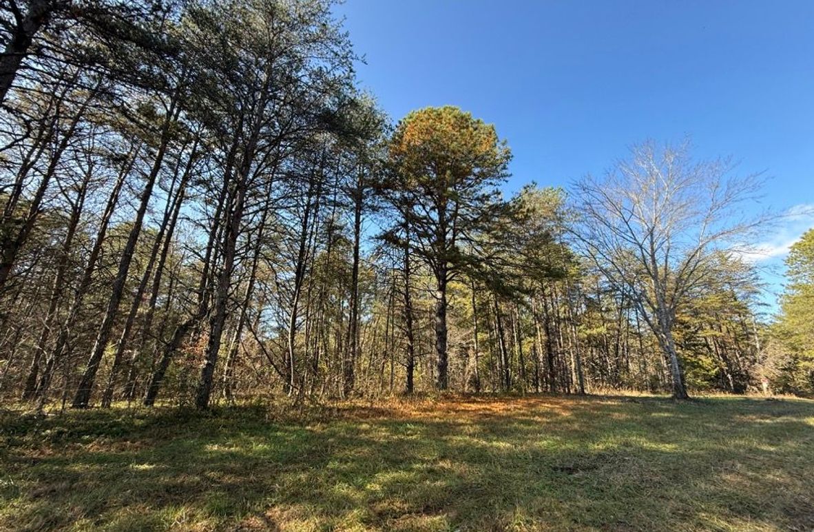 002 open cleared area near the middle of the property
