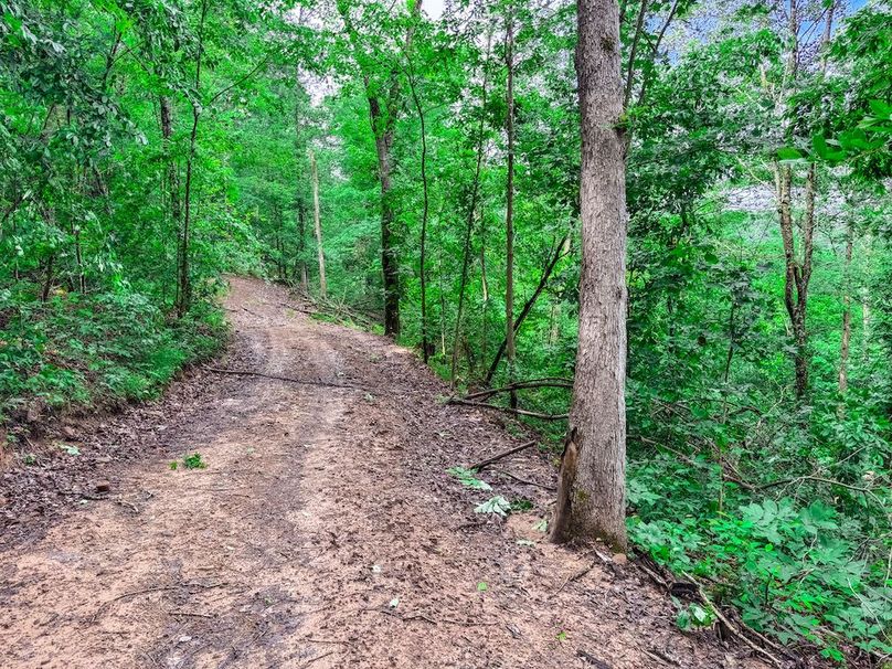 Wirt, WV 137.45 AC Full-15