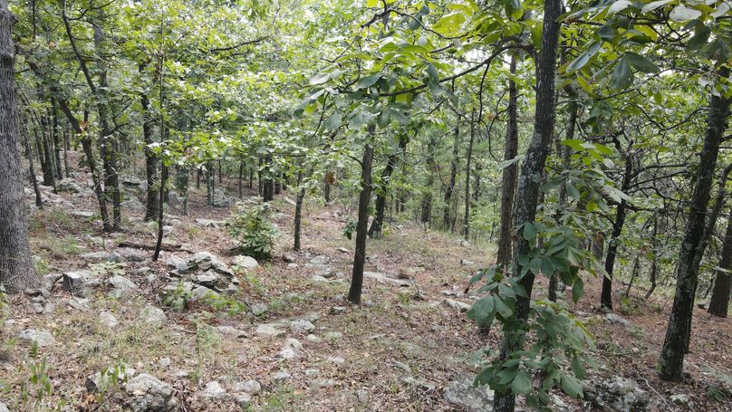 dji_fly_20230825_133256_69_1692988392671_photo