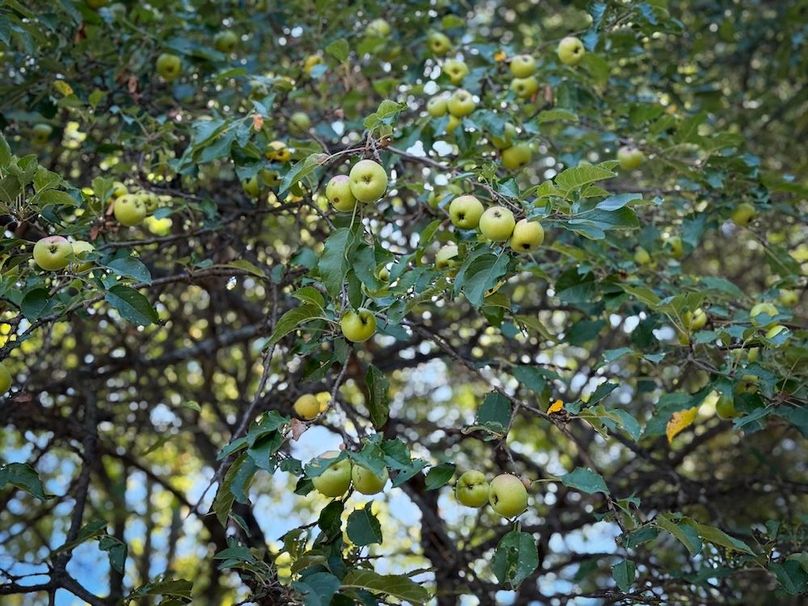 Jefferson NY 195.6 Parker Photos 20