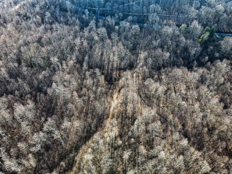 dji_fly_20240304_090622_815_1709561192128_photo