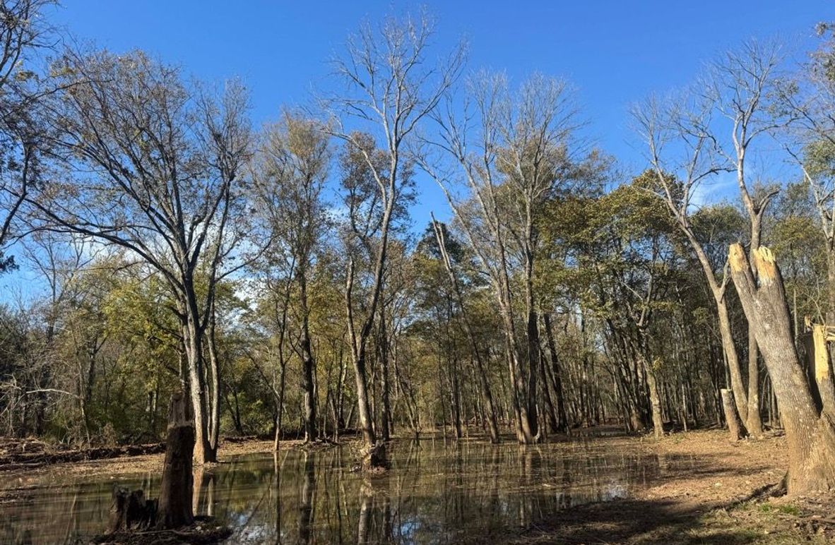 1a1 jeff 8320251111_0228