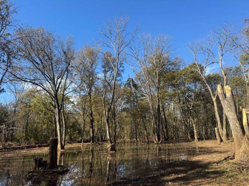 1a1 jeff 8320251111_0228