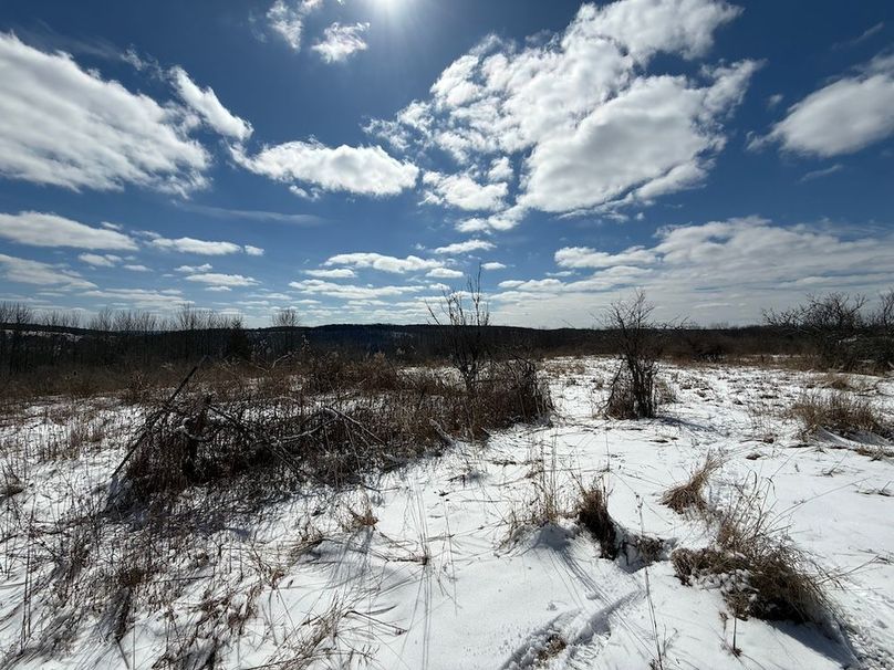 Chemung_43.23_Lippincott Photo 38