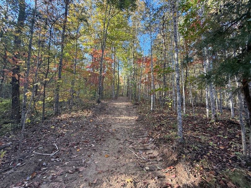 020 nice road system leading to the upper elevations