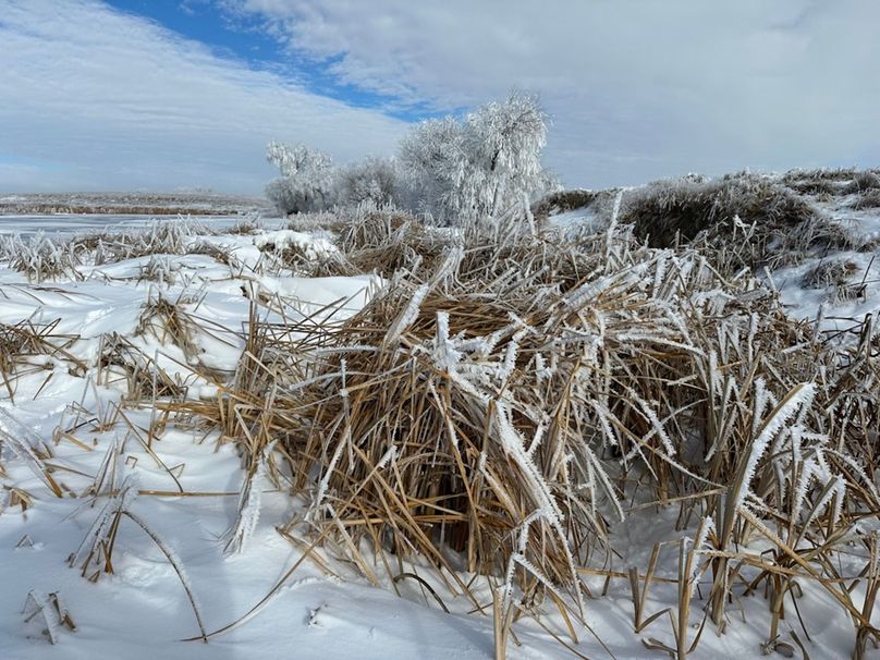 6BED122E-A841-4F01-A8F7-53E99387DD06_1_105_c