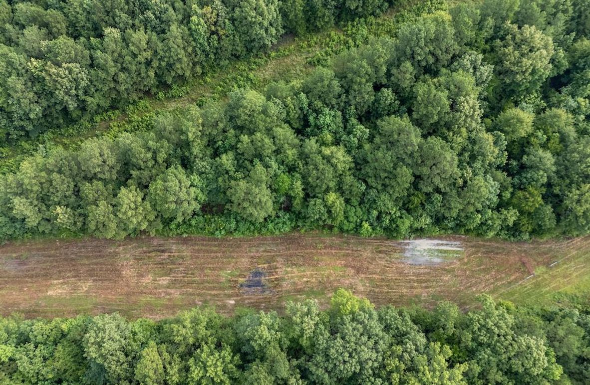 1 Panola Co. 40ac - Rouse-14