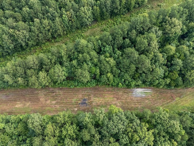 1 Panola Co. 40ac - Rouse-14