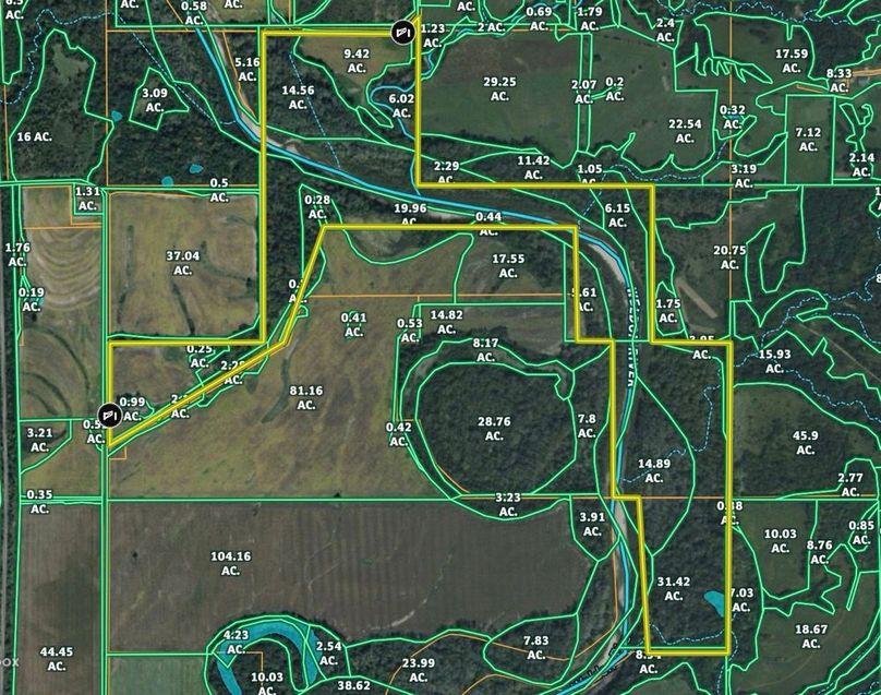 Screenshot 2026-02-09 at 6.39.04 AM