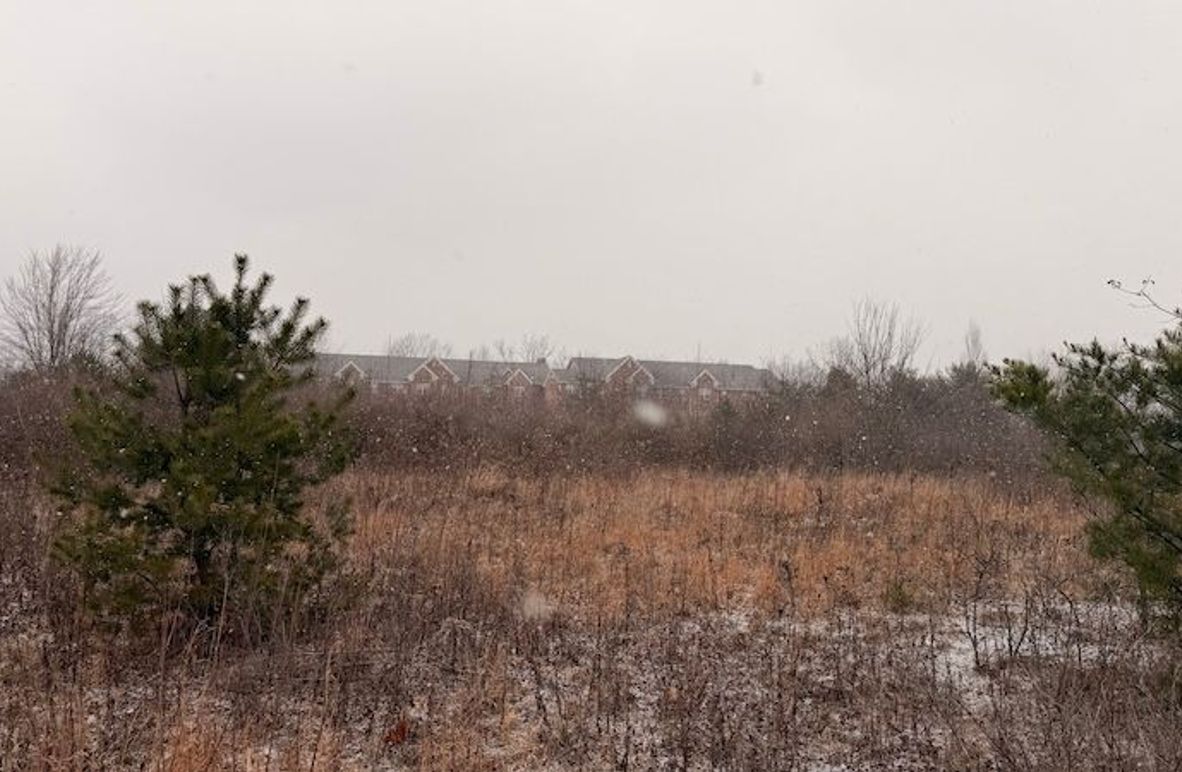 8CCA4155-1329-48DE-8EB8-A59A70257EDF_1_201_a