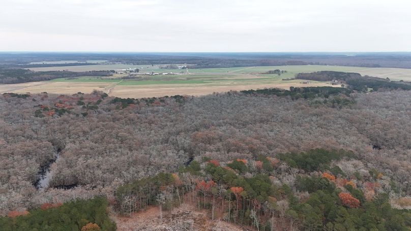 dji_fly_20251121_094130_0073_1763736118860_photo