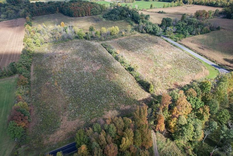 Tompkins_30.32_Hildreth_Estate_Phoros_21