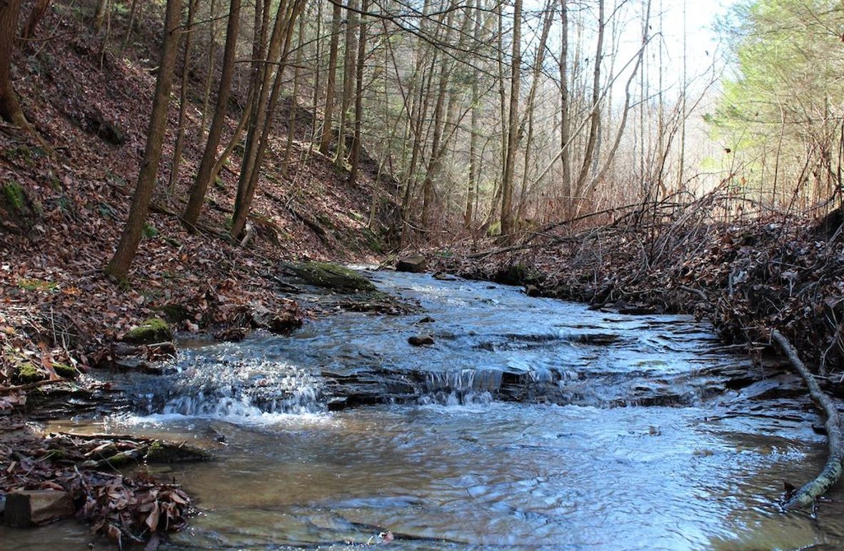 001 beautiful mountain stream originating on the property
