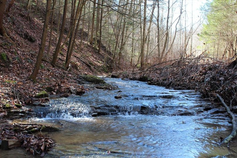 001 beautiful mountain stream originating on the property