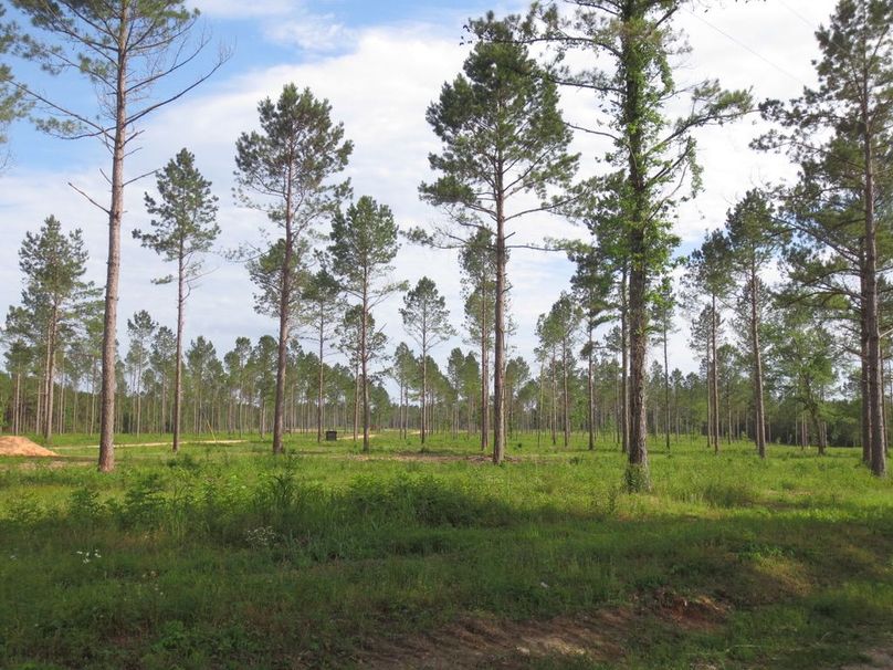 A70E3CD1-1253-4E8A-B1B6-ECE3000C91E2_1_105_c