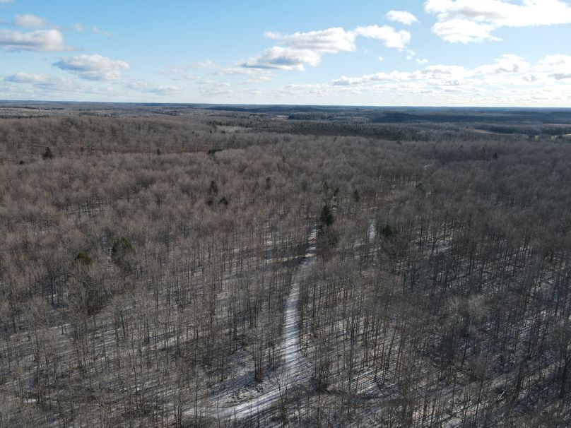 DJI_0835