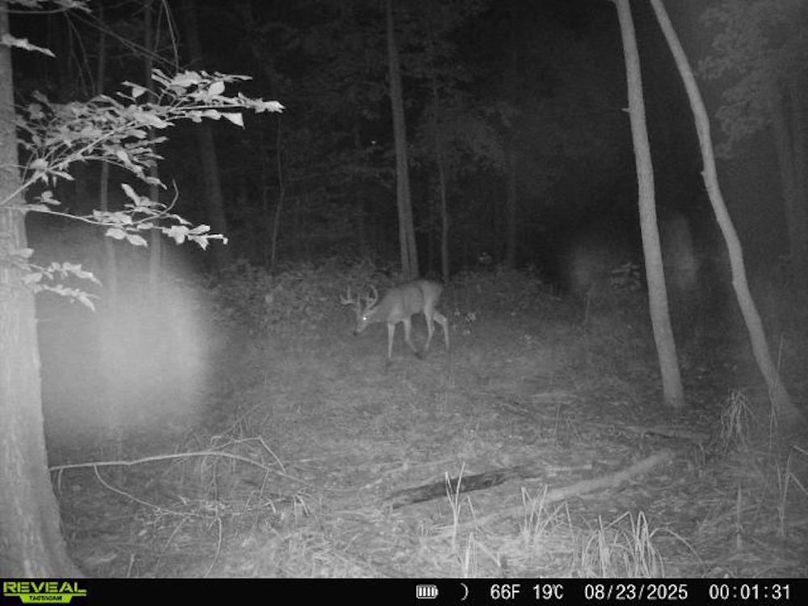 860516068101389-100-2-08232025000130-V-W1001173