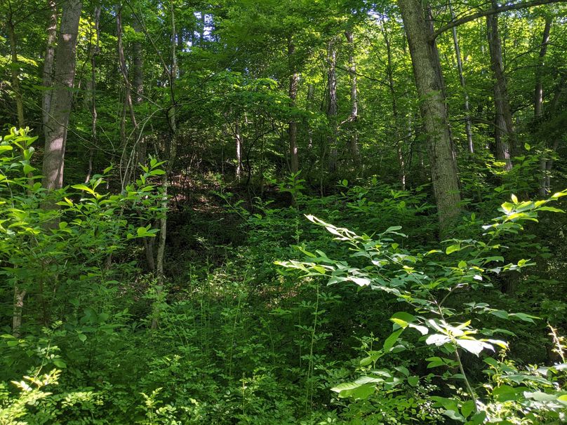 PXL_20230602_131832583