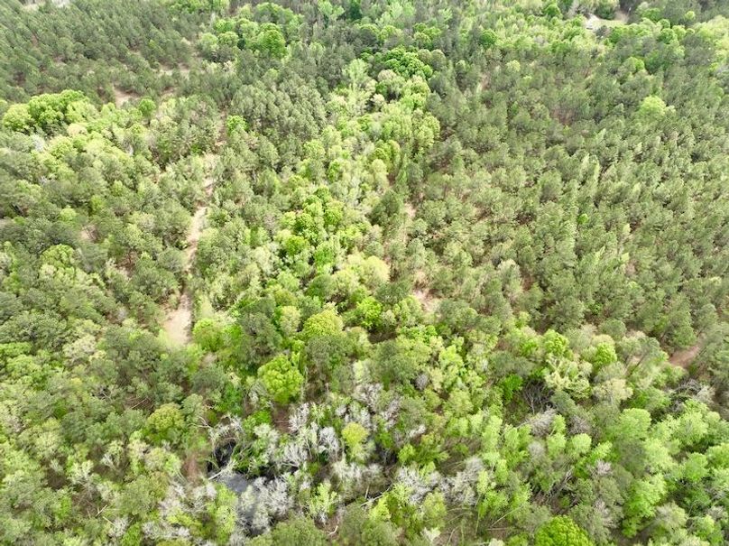 dji_fly_20260330_152104_454_1774898603025_photo