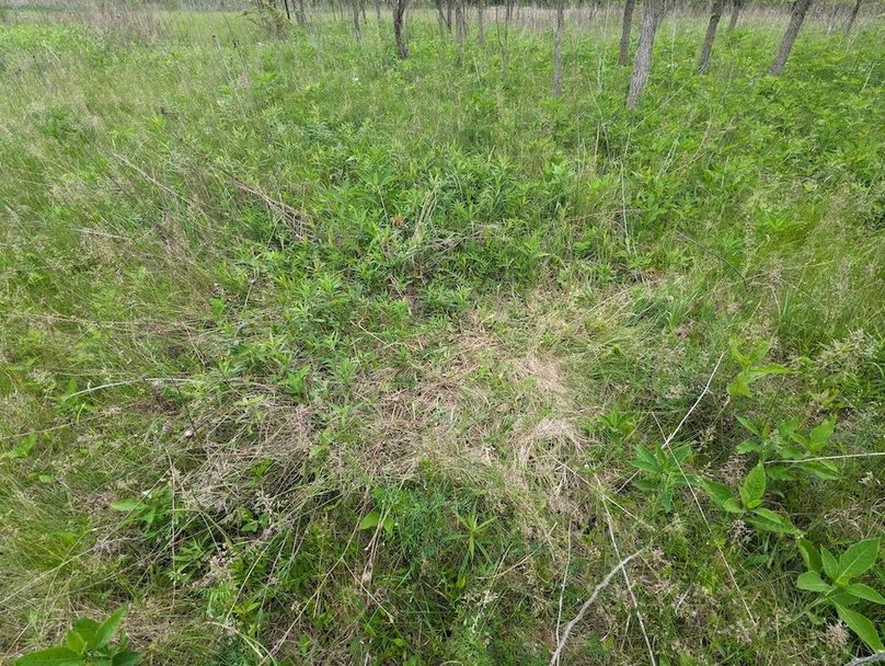 PXL_20240515_154753047