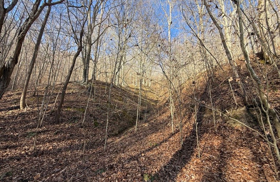 005 small drain coming down from the north boundary