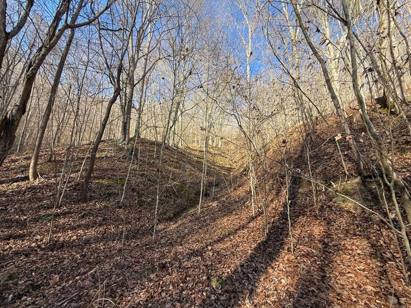 005 small drain coming down from the north boundary