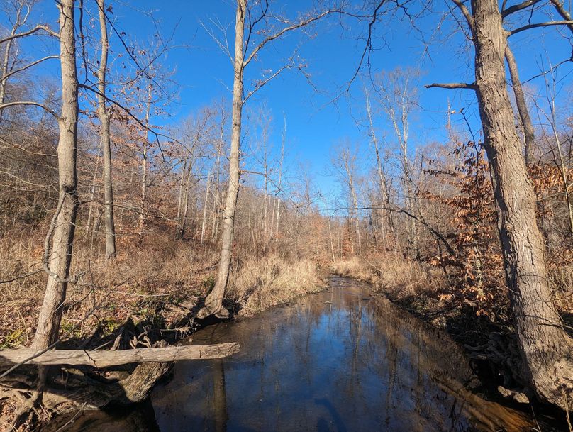 PXL_20231215_171625027