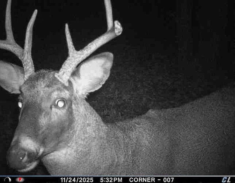 Adams 25, Nessler -16