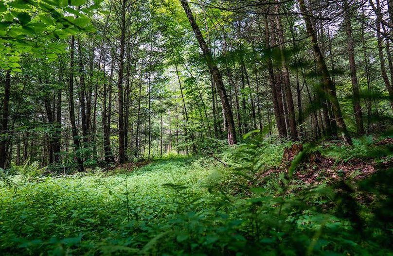 Tioga_28.87_Shangraw Photo 35