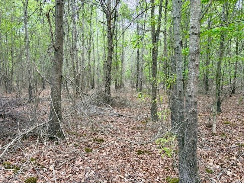 88E64372-AFFC-43E7-AA6C-D18CCC882986_1_105_c