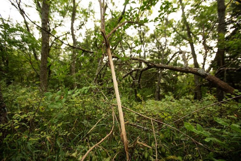 FREMONT CO IA 159.05_20
