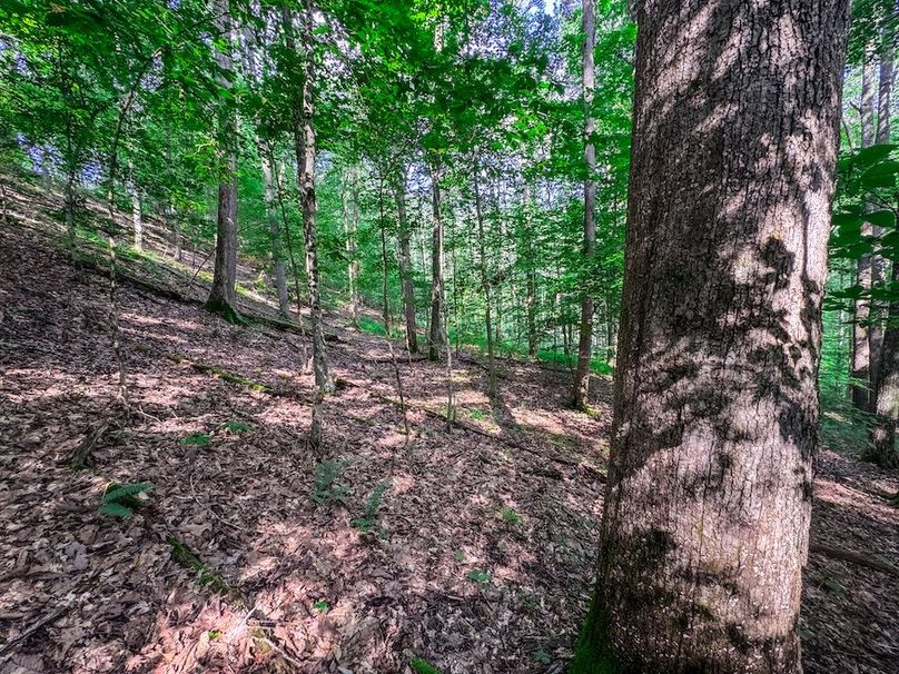 Lewis, WV 105 AC Miller-52