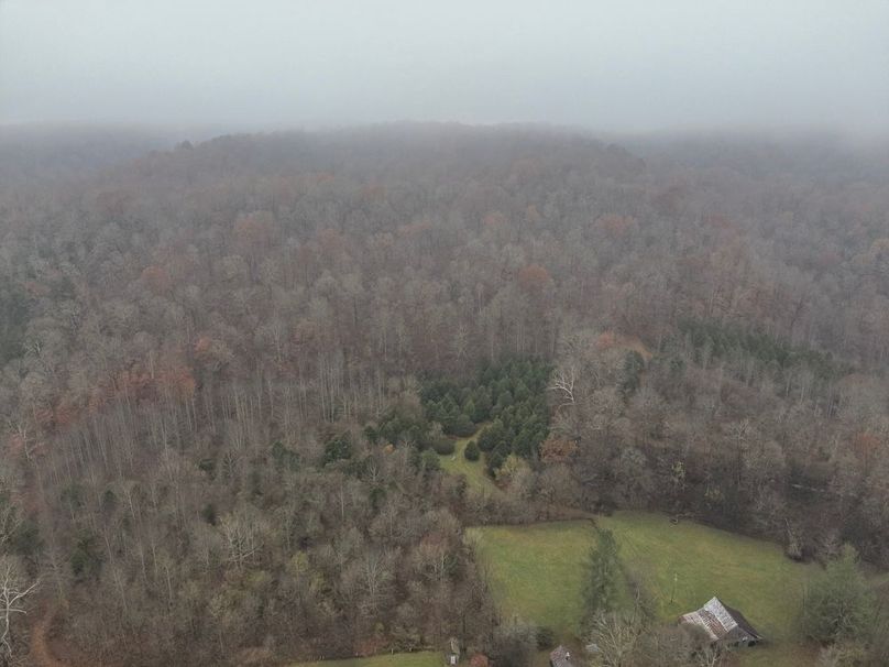 19-DJI_20251119122500_0009_W