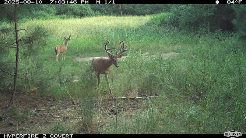 TwinStatesTrailCam05