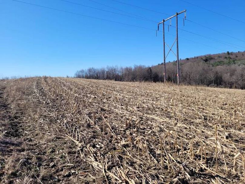 11067406-X5sckry3THsKPS5L