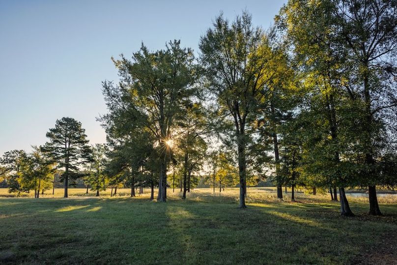 43 harrison 417ac pics-047