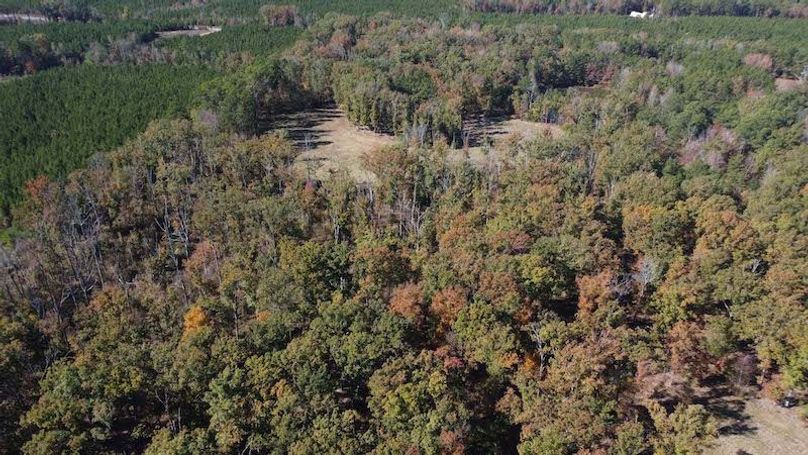 jeff 5020251111_0284