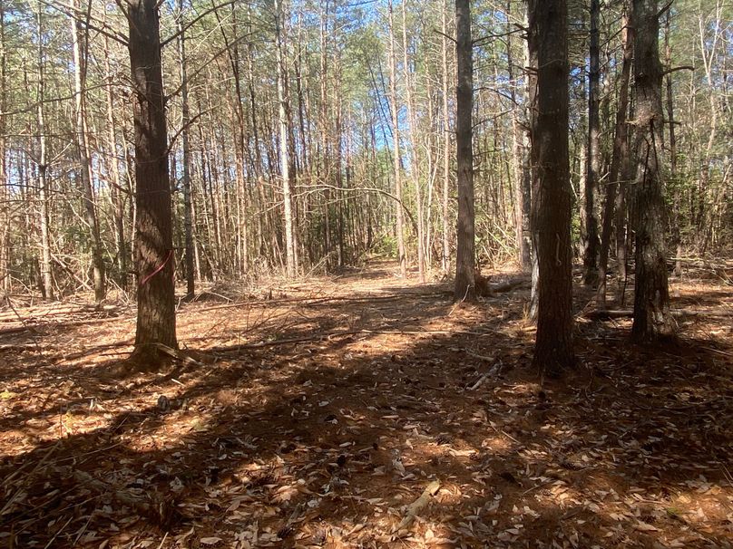 005 Homesite