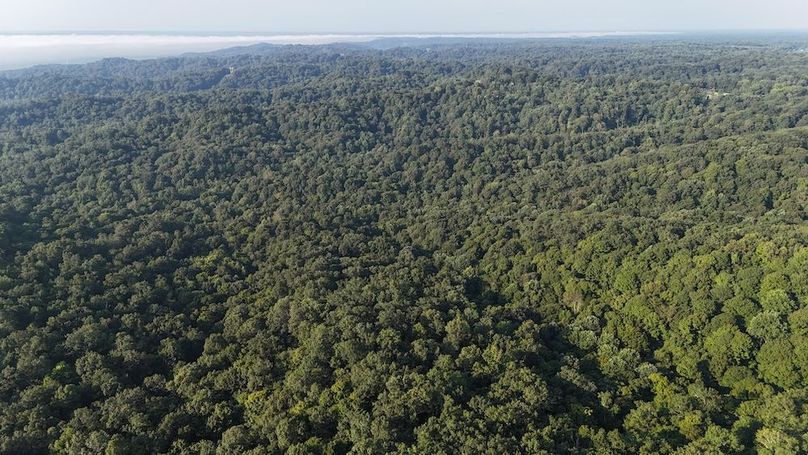 DJI_20250808085306_0714_D