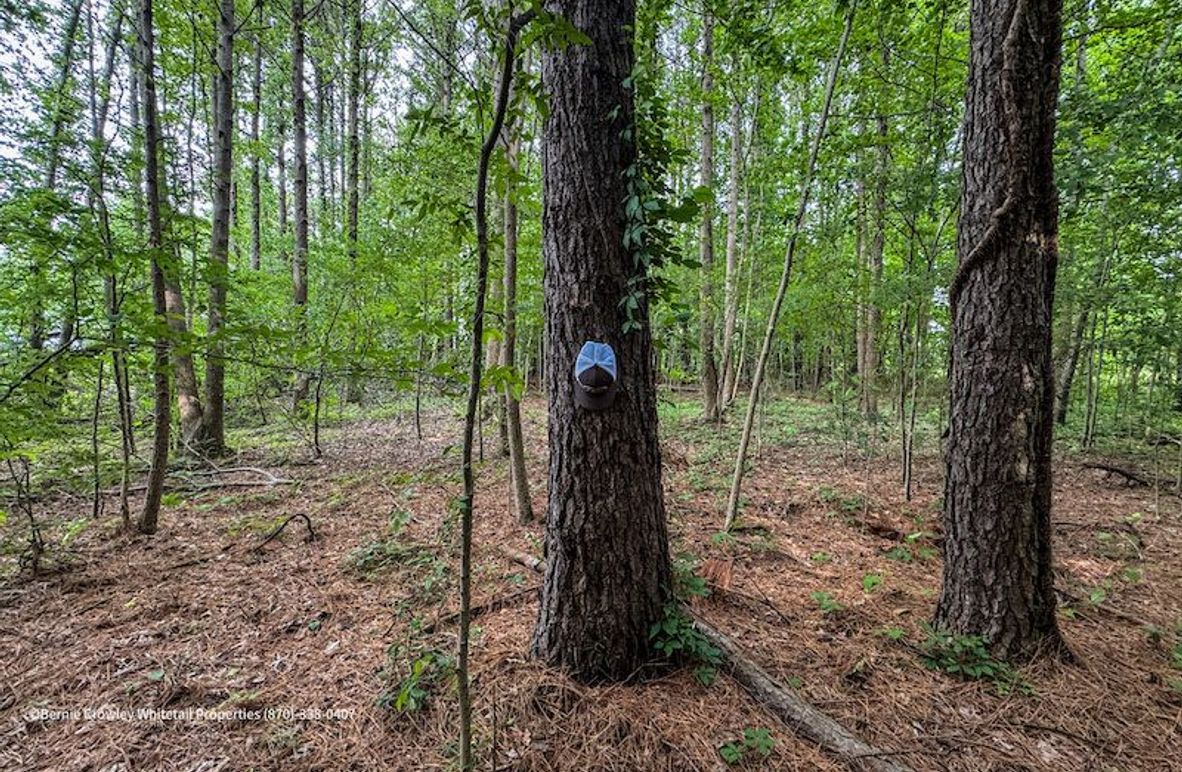 Phillips 58 Coats -06